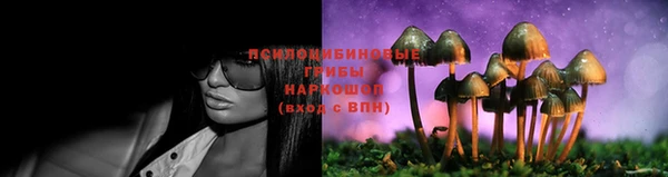 марки nbome Белокуриха