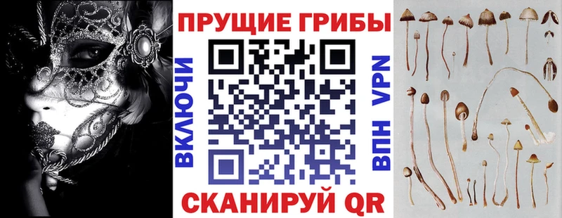 Галлюциногенные грибы мицелий  купить   Янаул 